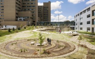 The outdoor garden and path at the VA Ambulatory Hospital.