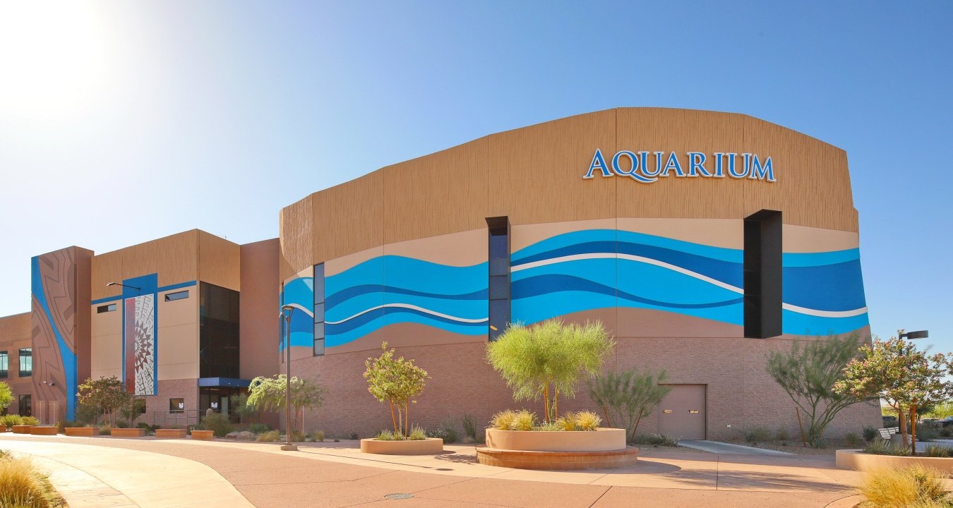 Exterior view of OdySea Aquarium