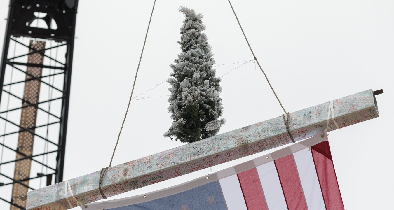 A tree being hoisted up with the last beam