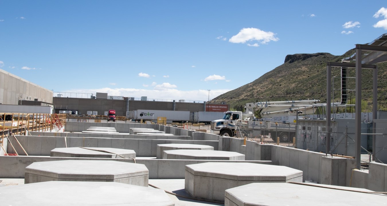 Image of the plant area