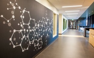 A hallway with wall art on the lefthand wall.