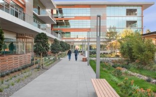 Outdoor walkway near the building with landscaping and greenery