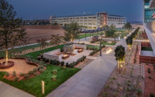 An outdoor area with greenery and sidwalks at nighttime