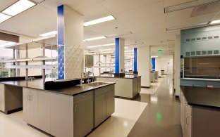 A lab area with cabinets and tables