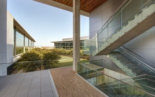 An exterior stairwell overlooking a greenery area with trees