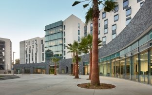 Exterior entrance with palm trees