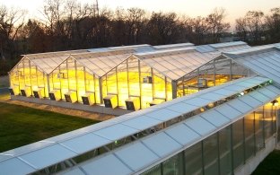 Donald Danforth Plant Science Center greenhouses