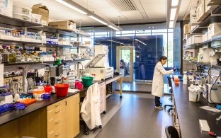 Person working in a lab