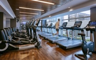 Indoor fitness center with cardio machines lined up against a wall of windows