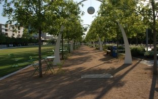 A dirt pathway with arches going over it and trees on each side