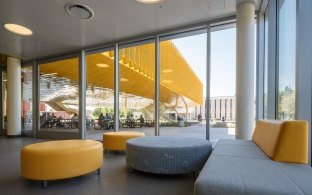 Indoor seating area with round chairs with an outdoor view