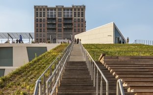 Outdoor stairs leading up with grass on either side