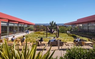 An exterior greenery area with seating, between two buildings