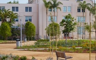 Waterfront Park landscape, bench and historical County Administration Center in background