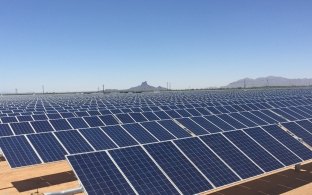 Outdoor image of rows of solar panels