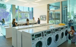 Laundry facility with multiple washing machines and dryers lined up