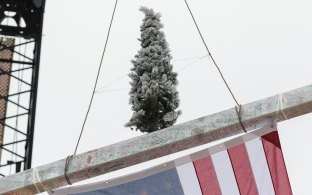 A tree being hoisted up with the last beam