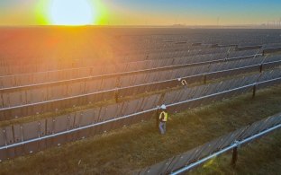 Two people standing in between rows of solar panels
