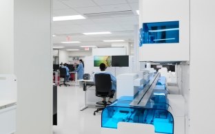 A person working at a computer in a laboratory