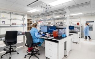 A person working at a computer in a laboratory