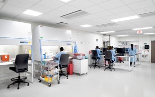 People working within a laboratory