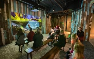 st. louis aquarium people watching video