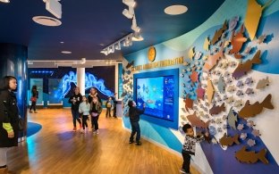 st. louis aquarium foundation