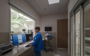 A person looking at a computer screen