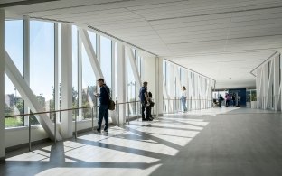 Sunlit skybridge with people walking and pausing at floor-to-ceiling windows overlooking the campus