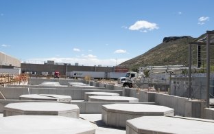 Image of the plant area
