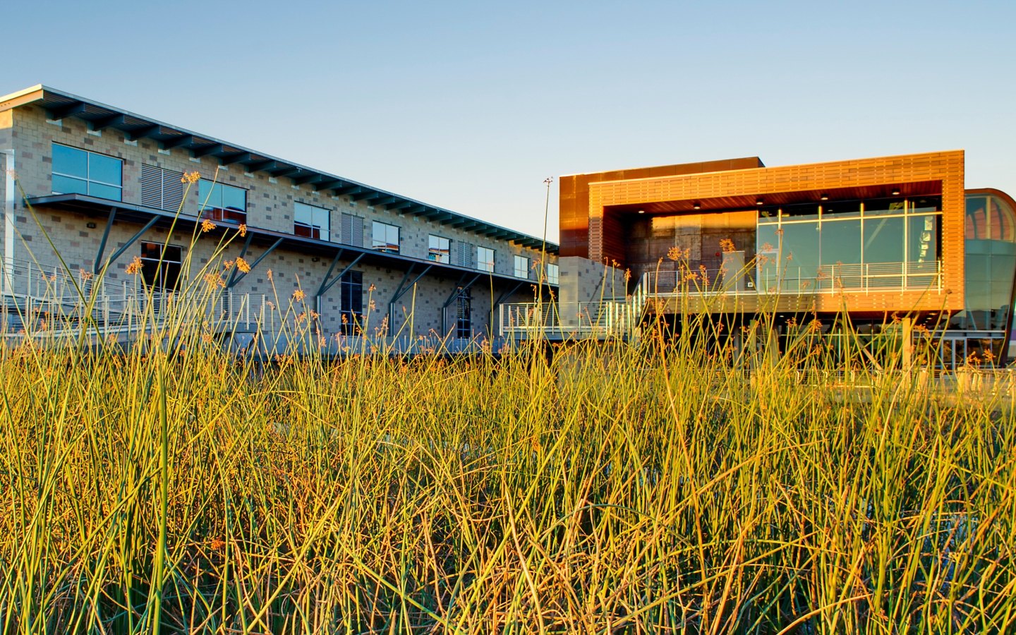 Oxnard Water Treatment Facility McCarthy