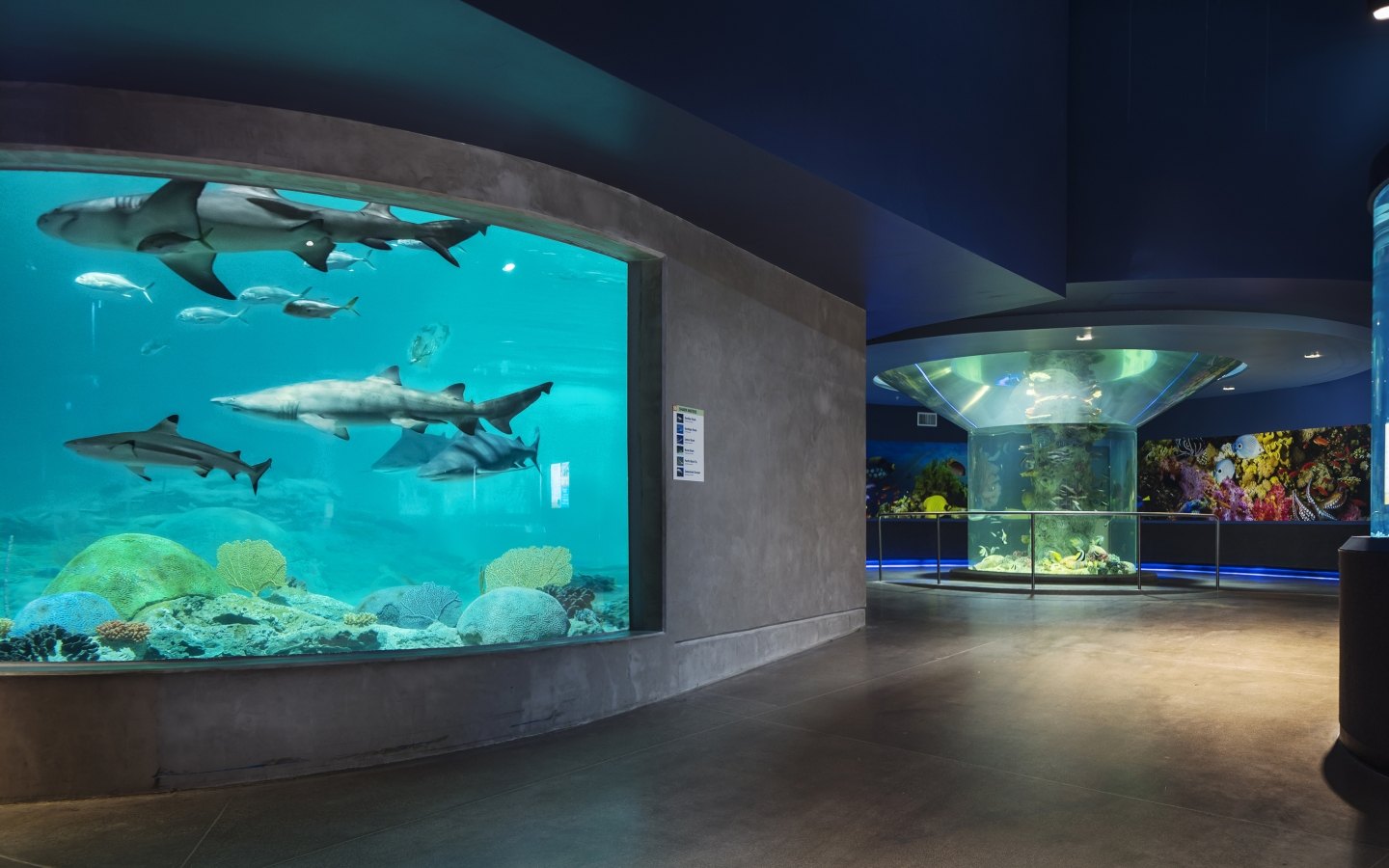 OdySea Aquarium Expansion - McCarthy Building Companies