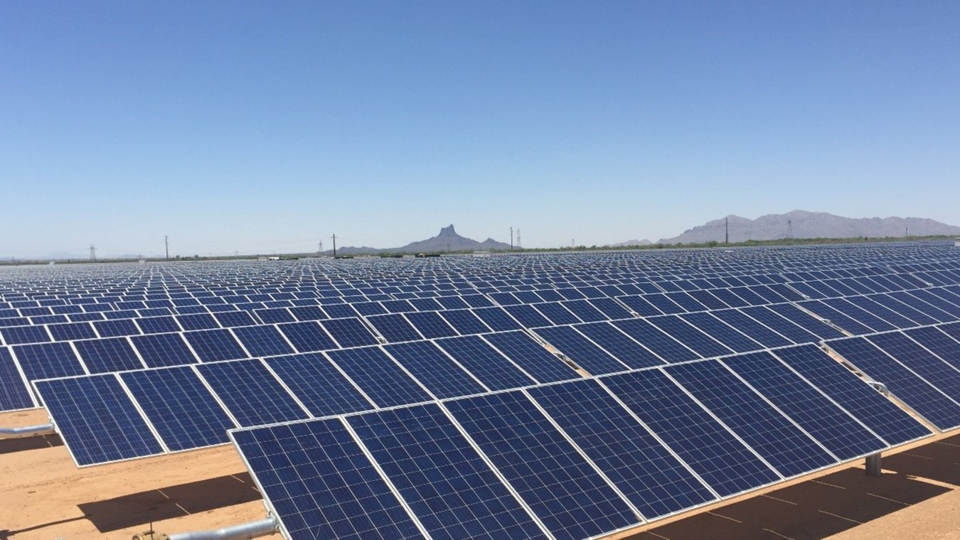 Outdoor image of rows of solar panels
