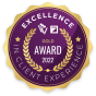 Excellence in client experience graphic