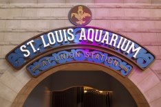 St. Louis Aquarium at Union Station.