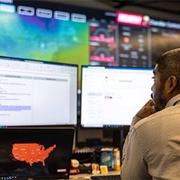 A person looking at two computer monitors