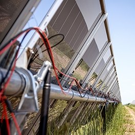 A row of solar panels from behind
