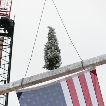 A tree being hoisted up with the last beam